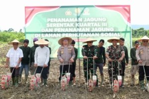 Wakapolda Papua Pimpin Penanaman Jagung Serentak di Keerom, Wujud Dukung Ketahanan Pangan Nasional