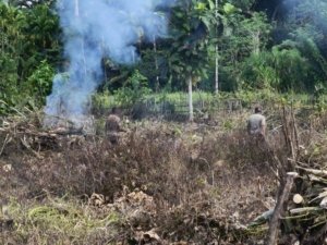 Wujud Nyata Kepedulian, Polsek Pantai Timur Perluas Kebun Ketahanan Pangan
