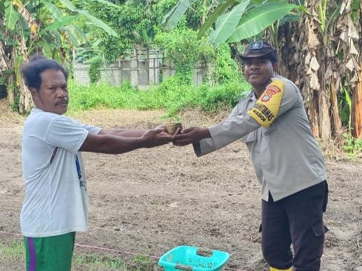Ciptakan Kamtibmas Kondusif, Bhabinkamtibmas Kampung Manopi-Ramiki Aktif Berikan Himbauan dan Bibit Tanaman