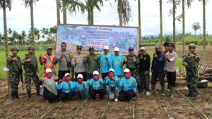 Dukung Ketahanan Pangan, Kelompok Tani Binaan Sat Binmas Polres Keerom Lakukan Penanaman Bibit Jagung dan Padi