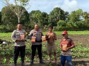 Polres Teluk Bintuni Berikan Bantuan Bibit Jagung Bertongkol Dua