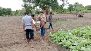 Bhabinkamtibmas Bersama Kelompok Tani Tunas Harapan Mulai Tanam Jagung di Kampung Vascodamnem