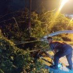 Sinergi Polri dan Masyarakat Bersihkan Pohon Tumbang di Belakang RS Bhayangkara