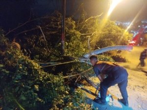 Sinergi Polri dan Masyarakat Bersihkan Pohon Tumbang di Belakang RS Bhayangkara