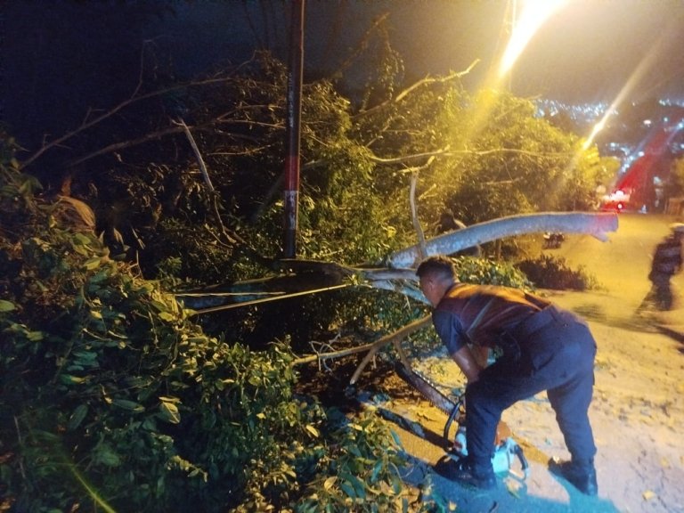Sinergi Polri dan Masyarakat Bersihkan Pohon Tumbang di Belakang RS Bhayangkara