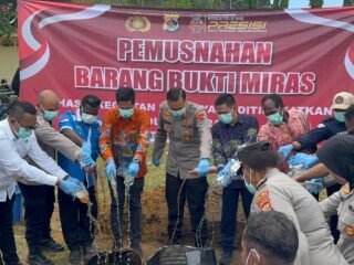 Polres Merauke Musnahkan Ribuan Liter Miras Ilegal dan Miras Lokal Jenis Sopi Hasil Kegiatan Rutin yang Ditingkatkan