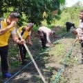 Polsek Sentani Timur Tanam Jagung Manis, Dukung Ketahanan Pangan Nasional