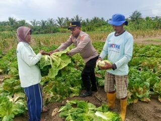 Polsek Muara Tami Sambangi Kelompok Tani Koya Barat, Perkuat Ketahanan Pangan Masyarakat