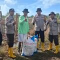 Polsek Jagebob Salurkan Bantuan Pupuk dan Dampingi Pemupukan Jagung di Kampung Mimi Baru 
