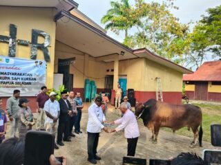 Polres Merauke Hadiri Penyerahan Sapi Banmas Presiden RI, Wujud Kepedulian Menjelang Idul Adha 