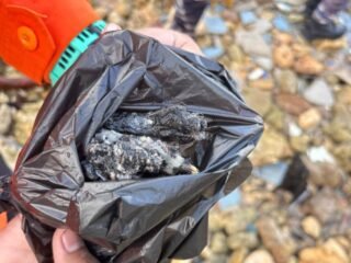 Hari Ke-8 Pasca Ledakan Biak, Tim Gabungan Temukan 11 Serpihan Tubuh dan Lanjutkan Pencarian Korban 