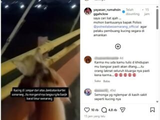 Polrestabes Semarang Dalami Kasus Video Viral Pembuangan Kucing di Jembatan Kartini