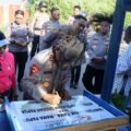 Dorong Pemberdayaan Ekonomi Masyarakat, Kapolda Papua Resmikan Lapak Mama-Mama Papua di Merauke