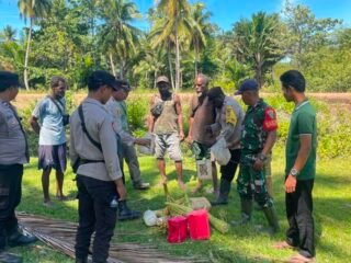 Polsek Okaba Gencarkan Razia Miras Lokal, Puluhan Liter Sagero Dimusnahkan di Kampung Dufmira