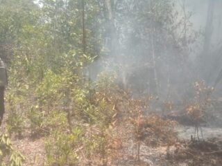 Polsek Bomakia Respons Kebakaran Hutan di Boma II, Upaya Pemadaman Terus Dilakukan