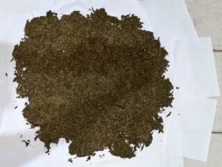 Ditpolairud Polda Papua Ungkap Kasus Peredaran Ganja di Pelabuhan Jayapura