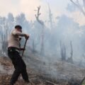 Respon Cepat Karhutla, Kapolres Pegunungan Bintang Turun Langsung Padamkan Api di Gunung Jln Okpol