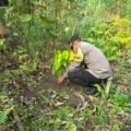 Wakapolres Jayapura Bersama Sat Binmas dan Masyarakat Lakukan Penanaman Pohon untuk Penghijauan