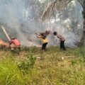 Cegah Api Meluas, Polsek Kurik Bersinergi dengan TNI dan Warga Tangani Karhutla